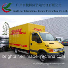 DHL Express Delivery From China to El Salvador